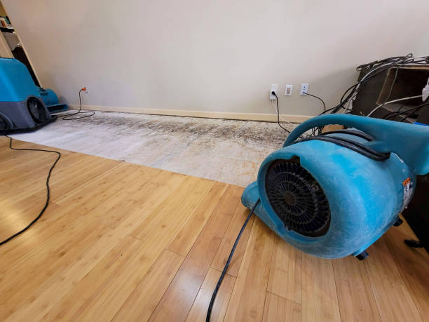 Professional Sewage Cleanup technician working in Kingston, GA